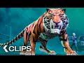 THE TIGER&#39;S APPRENTICE All Clips &amp; Trailer (2024)