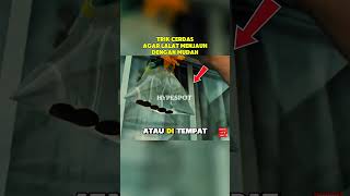 Trik Cerdas Agar Lalat Menjauh dengan Mudah #faktaunik #lalat #trik #shorts #world #wow