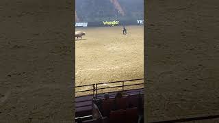 UBF World Finals #stockyards #pbr #