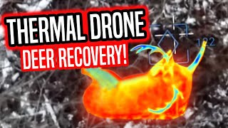 Drone Deer Recovery is a GAME CHANGER!