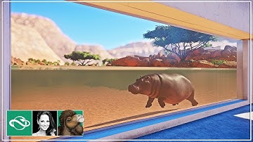 🐫 Hippo lookout & underwater viewing | Desert Franchise Mode | Planet Zoo |