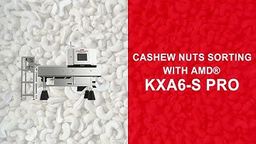 AMD® KXA6-S  X-Ray Inspection System for Cashew Sorting