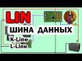 Как работает LIN шина автомобиля. K-Line L-Line шины данных. Лин шина автомобиля. Lin-bus network