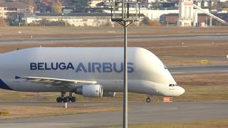 Beluga 4 - F-Gstd Landing And 737-800 Turkish - Tj-Jcn Take-Off At Toulouse Airport With Atc