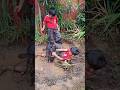 IKBAL MASKOT BANTENG LPS