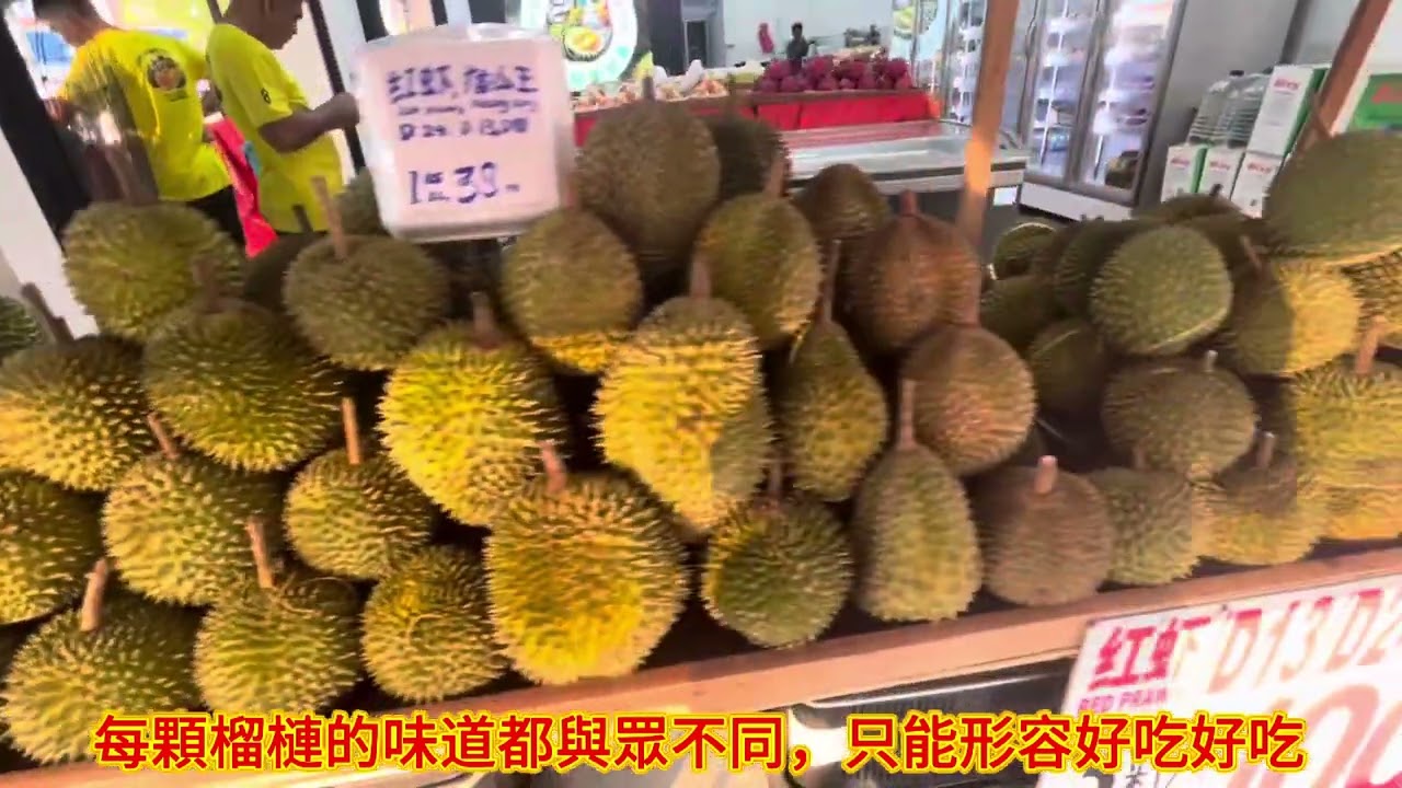 2025年6月份馬來西亞榴槤季：專程又來馬來西亞吃榴槤了，天天吃👍所有的口味，全部吃到底確實太好吃了⋯有口福的人，才懂得吃了這麼多種口味。敬請關注，訂閱按讚，謝謝🙏