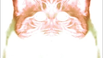 Shortest Video on YouTube Part 6 Effects (Effects in Description)