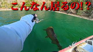 モンスターが潜む湖でヤバいの釣れた！この場所マジでオススメ！