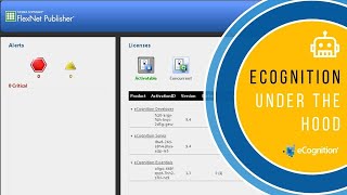 eCognition Under the Hood: Check License Administrator
