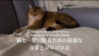 Relaxing Music and Purring Sounds for a Peaceful Sleep (40mins) #catsleeping