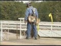 Fall Protection - Steel Erection