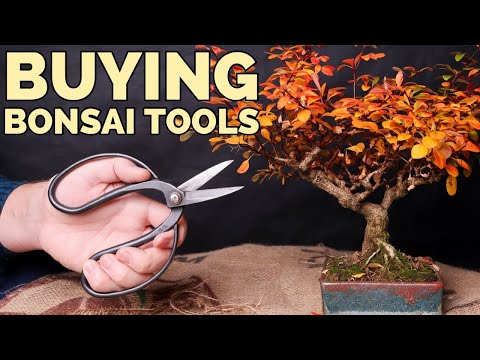 Bonsai Tools for Beginners: 3 things you need to know – Wazakura Japan