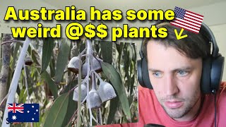 American reacts to 13 plants ONLY found in Austalia