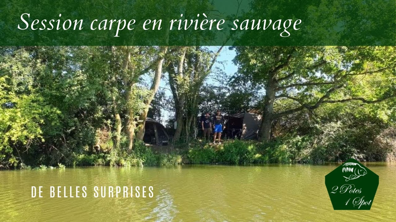 Pêche de la carpe // Session en rivière ultra sauvage