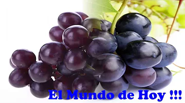 ¿Son buenas las uvas verdes para los riñones?