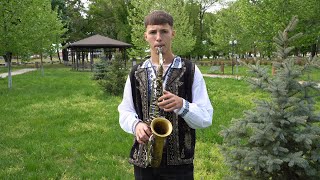 BOGDAN CĂLUȘERU🎷SARBA CA LA SALCIA💎Profesor IONEL DE LA CETATE👑