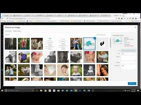 How to Change your Logo with Divi Theme