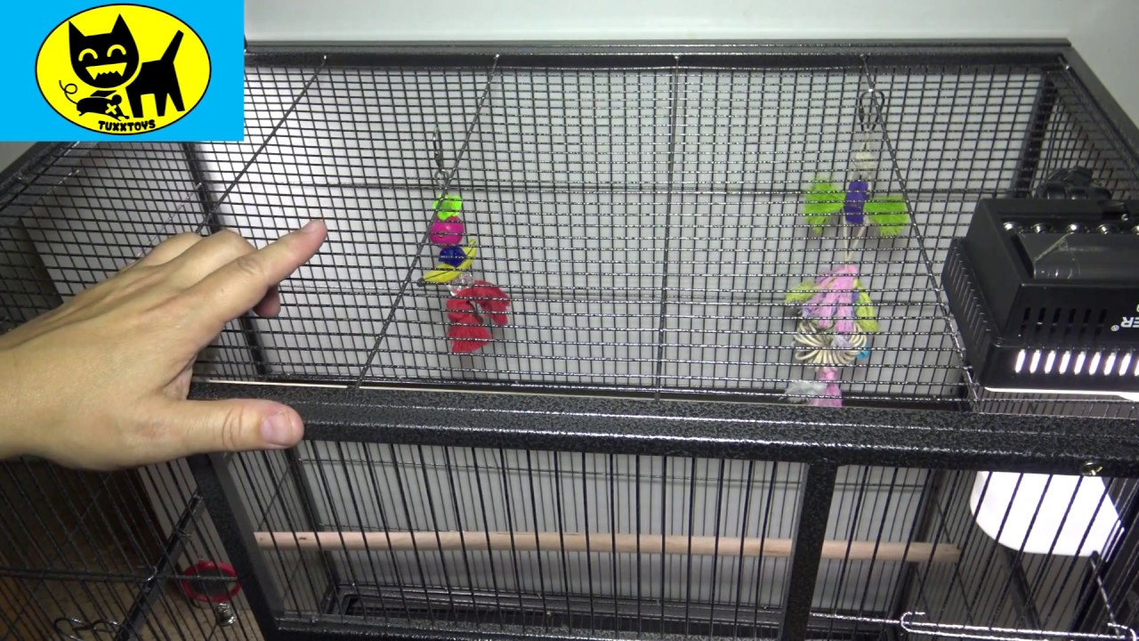 Birdcages Pet Supplies Everila YFT32 New Bird Parrot Cage 30x18x63 1/2