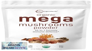 Organic Mega Mushroom 10 in 1 Complex Formula Powder for Immune System Review