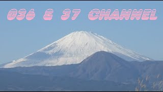 【番外編141】036&37ちゃんねる：完全オフモード。まったり、だらだら、とりとめなく。夕方、一杯やりながらお気楽に。イメージは「深夜ラジオ風」。不動産投資の話とかはしません