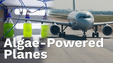 80% Less CO₂: Will Algae Fuel our Planes?
