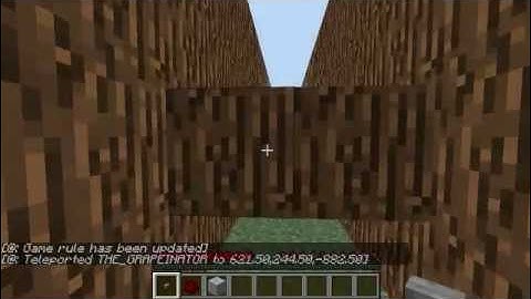 Minecraft Hallway Challenge w/Cameron! Pt 1