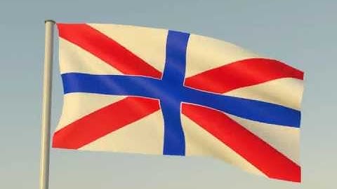 Modo 701 Dynamics Flag