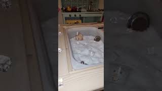 Snow sensory Table ideas! #shorts #sensory #toddlers #preschool
