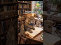 The Purr-fect Poet: A Scholarly Cat’s Library Journal 🐾#DarkAcademia #Bookish #CatLover #ScholarCat