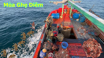 Nghề rập ghẹ bắt đầu chiến đấu với mùa ghẹ diêm - Dân Biển