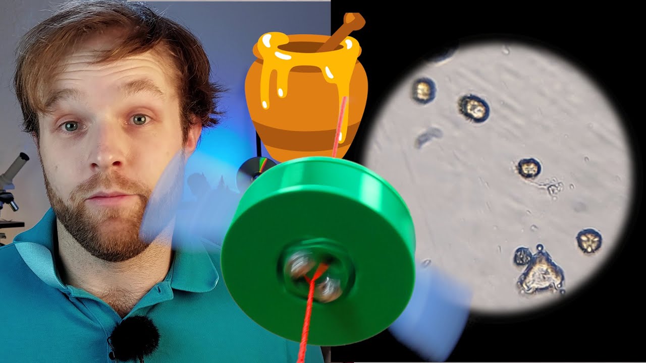 Honigpollen ohne Labor einfach im Mikroskop angucken