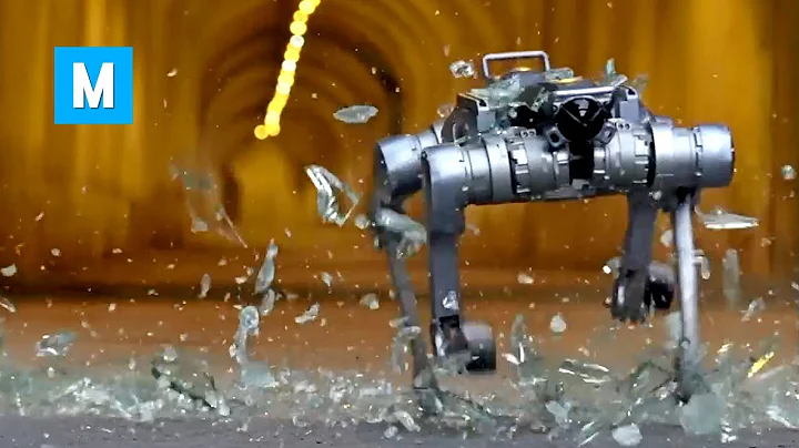 Robot Dog - Unitree A2 Stellar Explorer