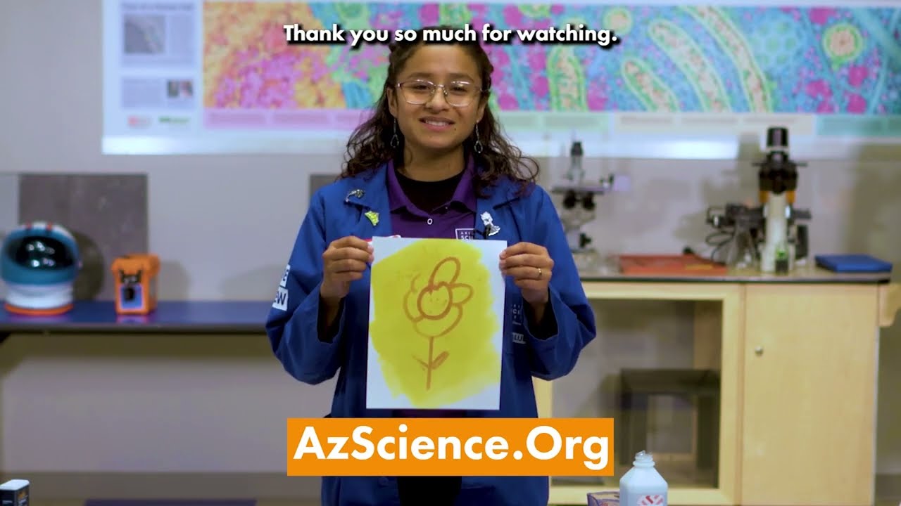 maxresdefault.jpg?sqp=-