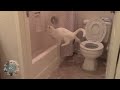 Cat poop FAIL