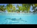 Отели Мальдив. Sun Island Resort & Spa 5*. Маамигили. Обзор