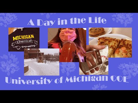 A Day in the Life of a Freshman Engineer | University of Michigan