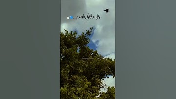 (قل لن يصيبنا إلا ما كتب الله لنا..). ❤️🩹🎧 تلاوة خاشعة. _احمد العجمي _حتي لا يُهجر