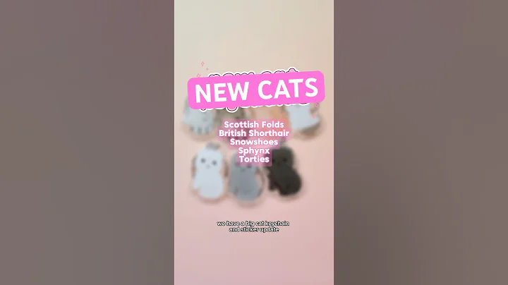 Watch the video about New cats! #scottishfold #britishshorthair #snowshoe #sphynx #tortie #catmom #petportrait