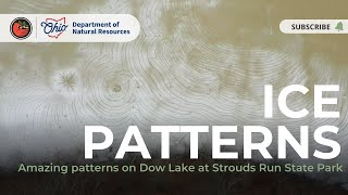 Unique Ice Patterns at Strouds Run State Park