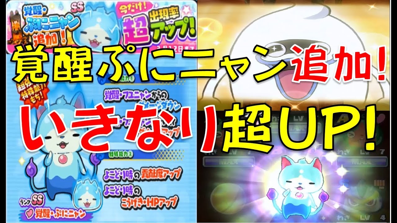 ガシャ動画118 覚醒 ぷにニャンが超upの争奪戦ガシャを回してみた ニャン系妖怪のベル争奪戦 妖怪ウォッチぷにぷに Youtube ガシャ動画118 覚醒 ぷにニャンが超upの争奪戦ガシャを回してみた ニャン系妖怪のベル争奪戦 妖怪ウォッチぷにぷに Youtube