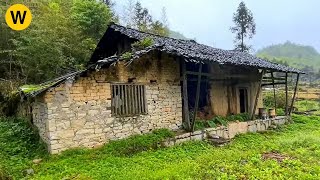 Being given an old house in the forest by his father, the genius boy turns it into his own villa by Mr. WU  30,001 views 13 days ago 1 hour, 9 minutes