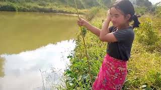 Nkuaj Hmoob Da Dej Zoo Saib Heev Linawb 8112022