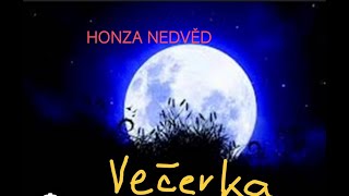 VEČERKA 💫❤️/✨JAN NEDVĚD ✨/NEW 2024!COVER BY OTA ON KORG PA 700