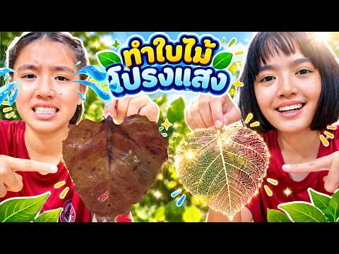 หนูยิ้มหนูแย้ม ทำใบไม้โปร่งแสง! ส่องทะลุได้ยังไง?
