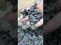 dry raisins asmr #dryfruits #dry #raisins #amsr #food #recipe #tips #yummy #kismish #foodshorts