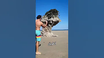 عندما يخدعك الرمل بعينيك 