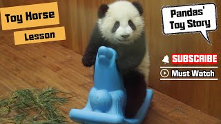 Panda babies tries to learn how to ride toy horse