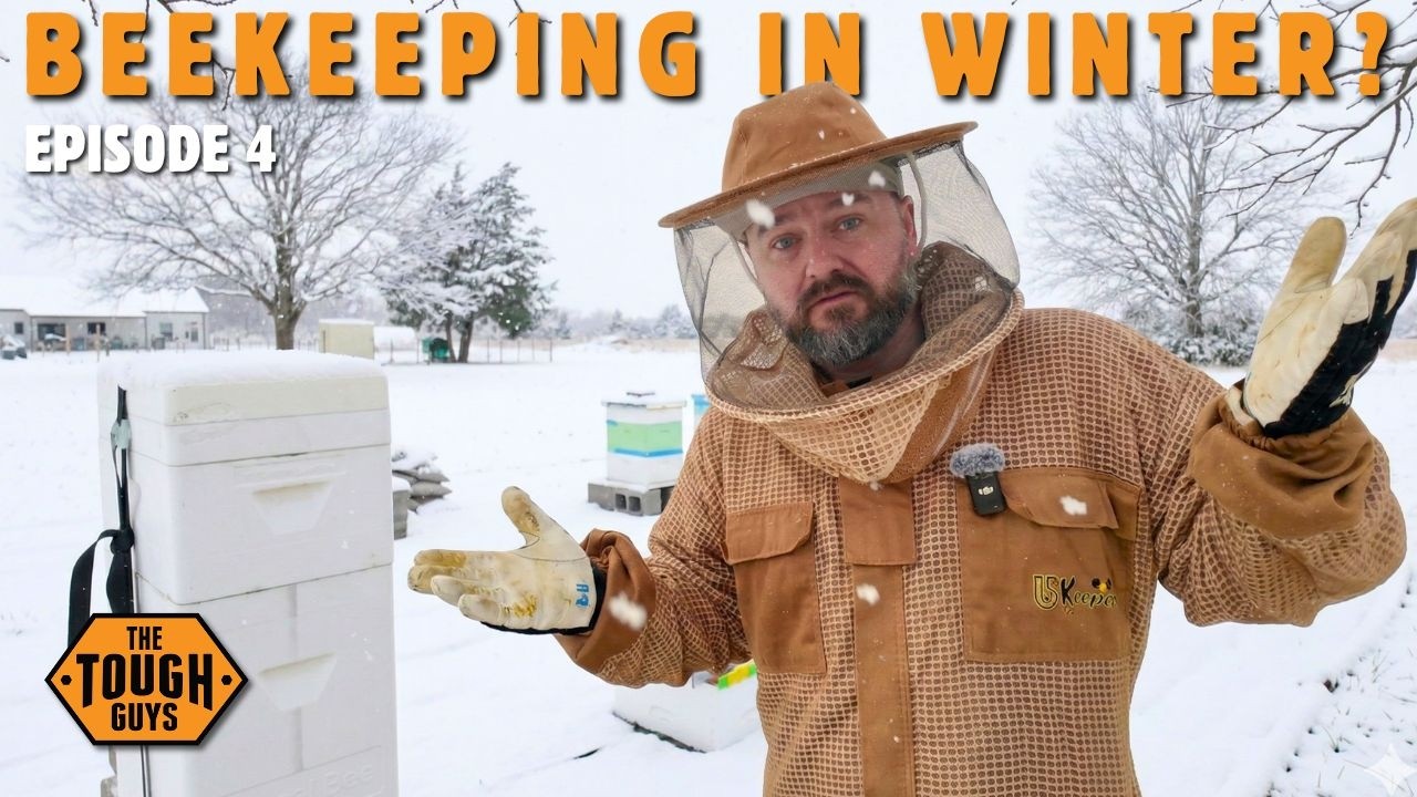 Late Winter Bee Hive Checkup: Primal Bee Apiary Episode 4