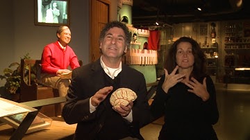 Paul Nussbaum, Ph.D., President of the Brain Health Center