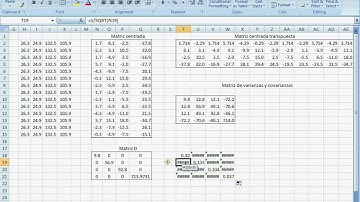Matriz de correlaciones Correlation matrix